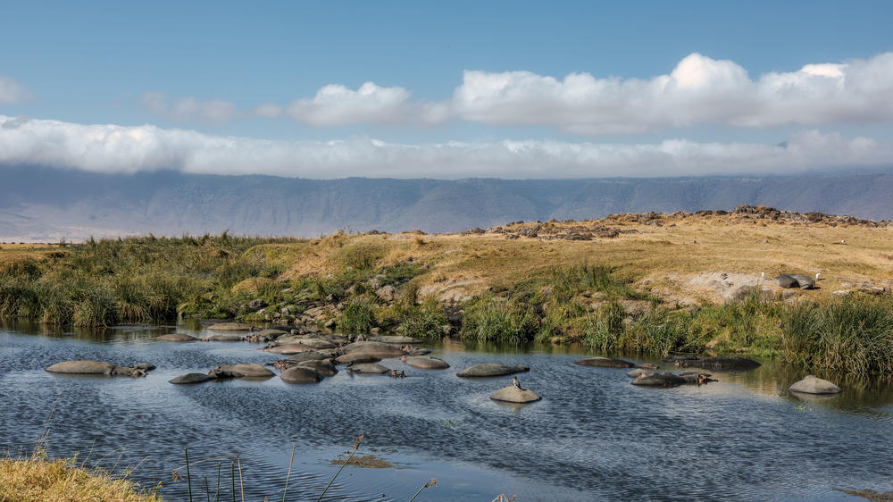 Elewana The Manor at Ngorongoro