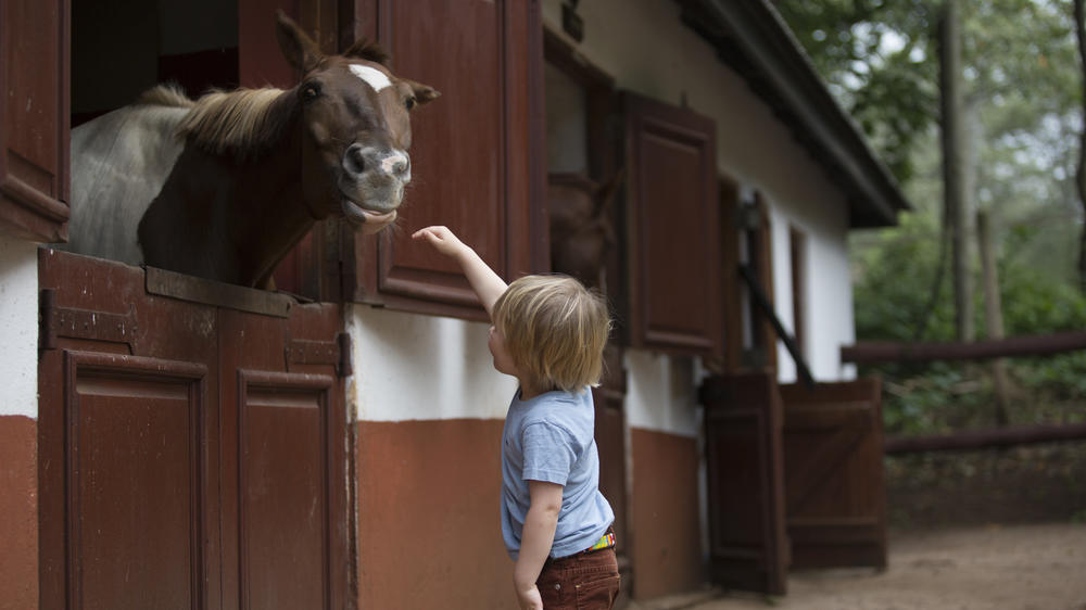 Elewana The Manor at Ngorongoro