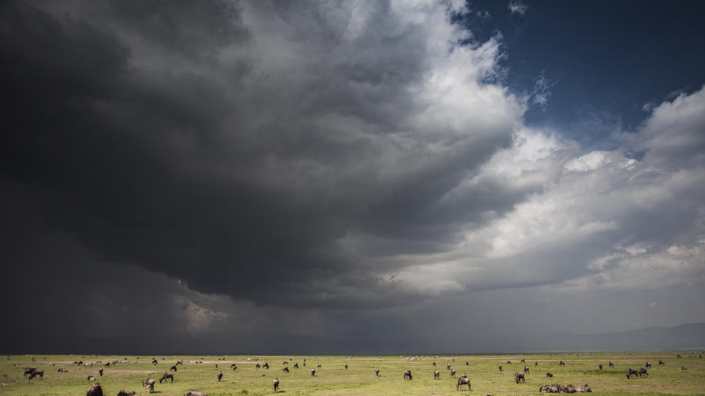 Elewana The Manor at Ngorongoro
