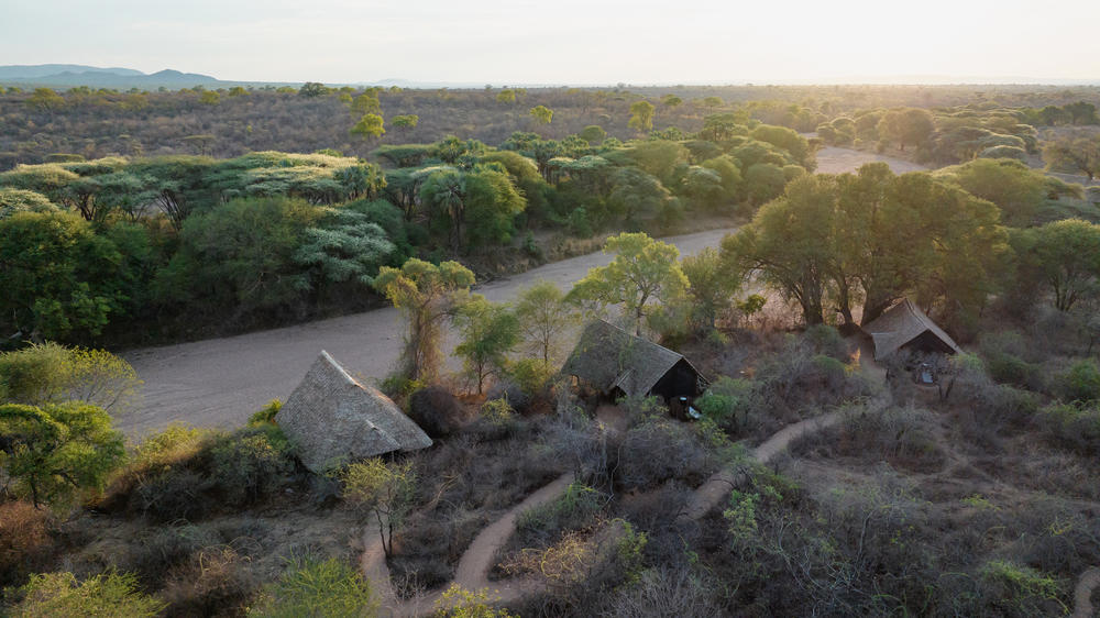 Tanzania - 4-day Ruaha Safari with Jongomero - Private Fly-in