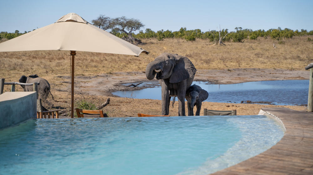 African Bush Camps Somalisa Camp