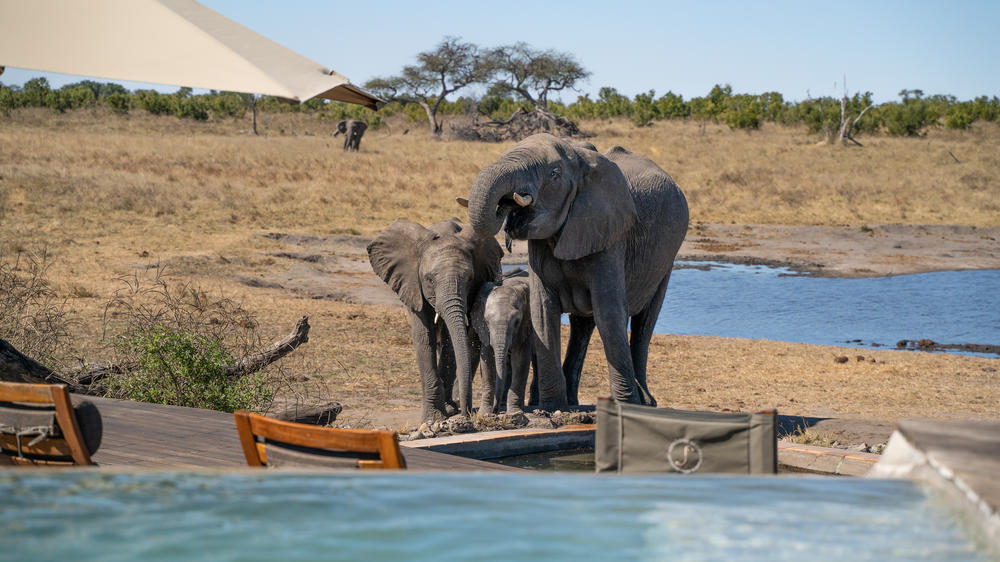 African Bush Camps Somalisa Camp