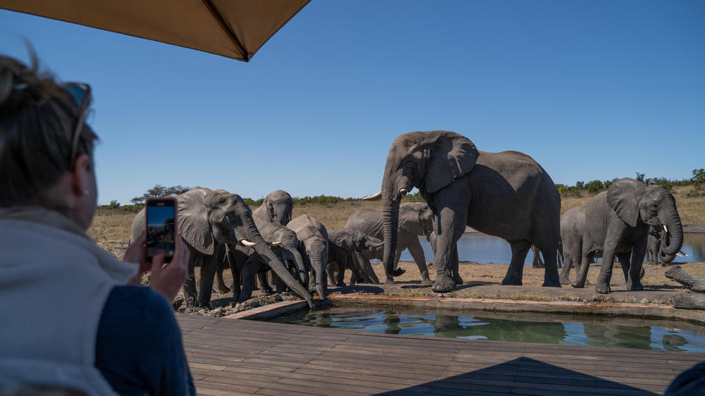 African Bush Camps Somalisa Camp