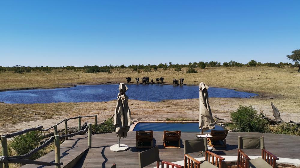 African Bush Camps Somalisa Camp