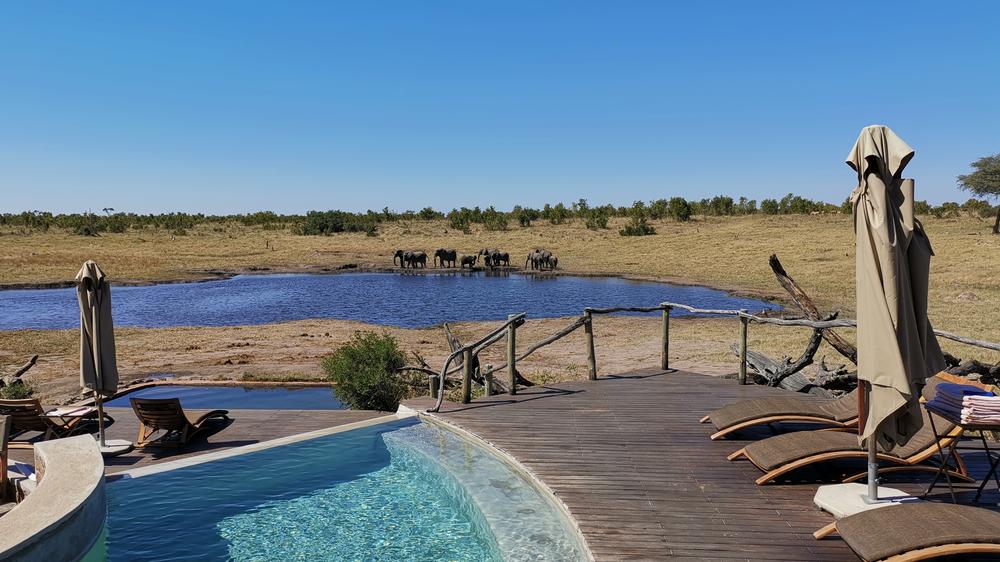 African Bush Camps Somalisa Camp