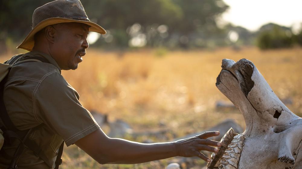 African Bush Camps Somalisa Camp