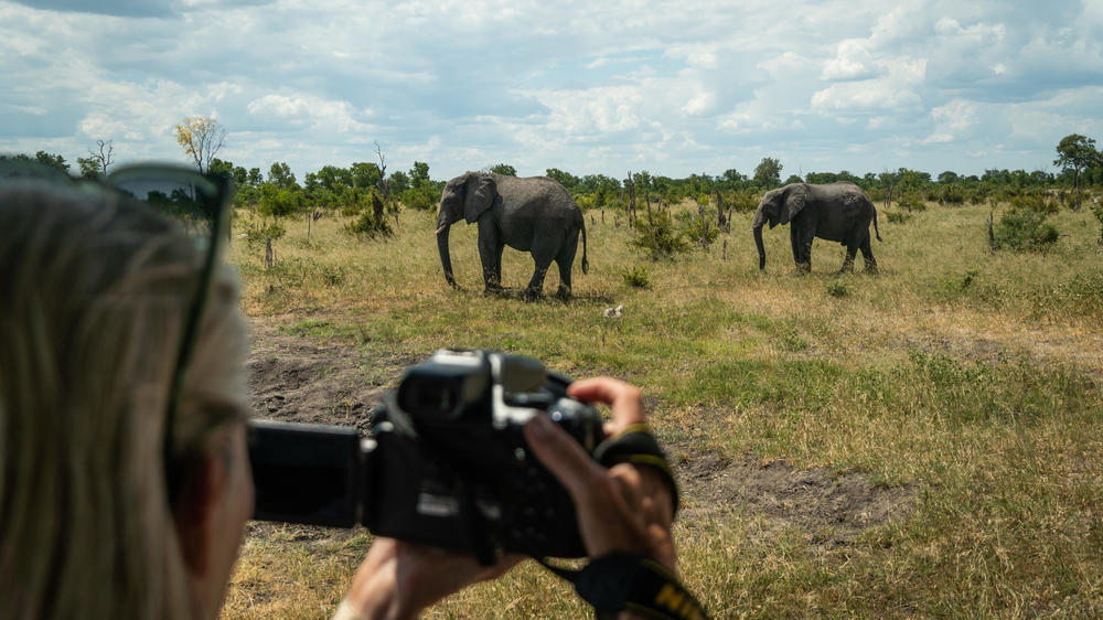 African Bush Camps Somalisa Camp