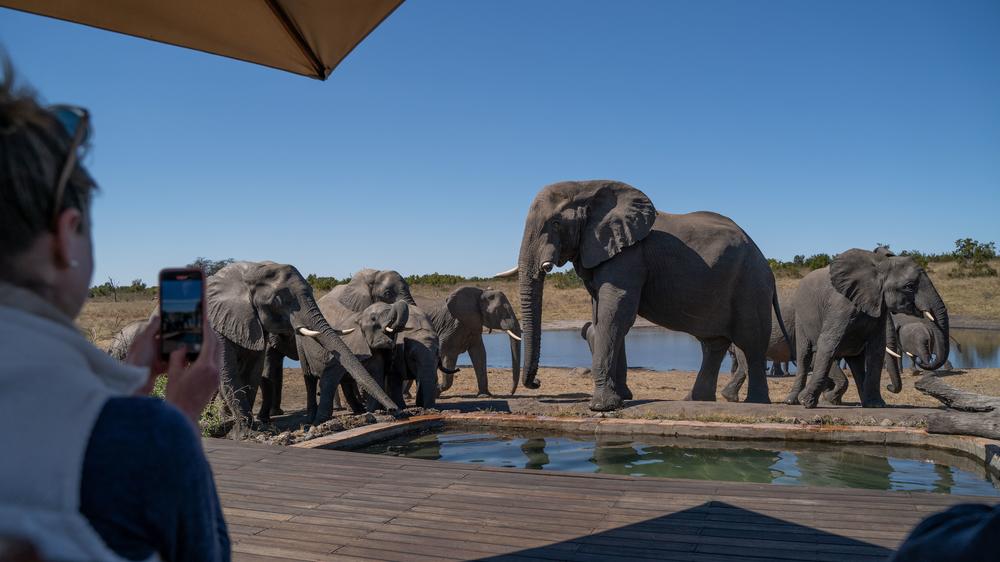 African Bush Camps Somalisa Camp