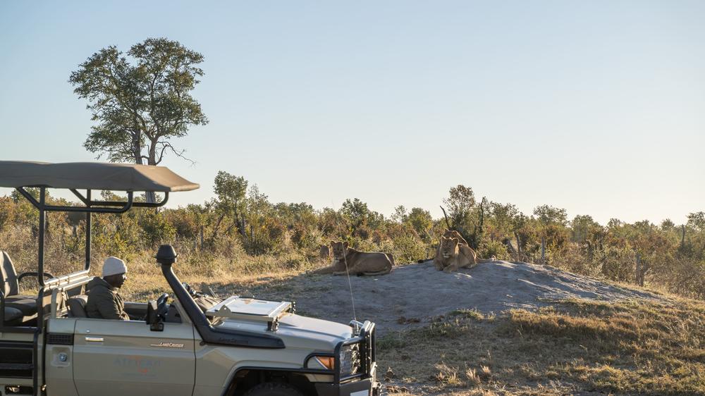 African Bush Camps Somalisa Camp