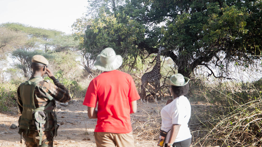 Kilaguni Serena Safari Lodge