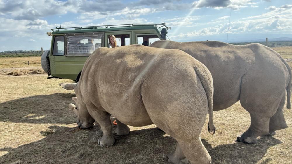 Ol Pejeta Bush Camp