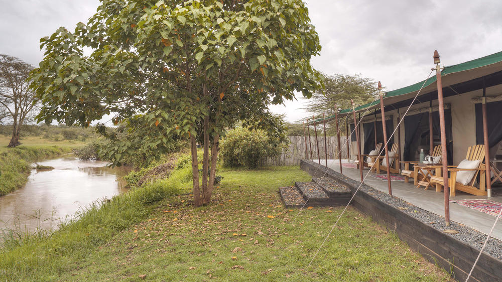 Ol Pejeta Bush Camp