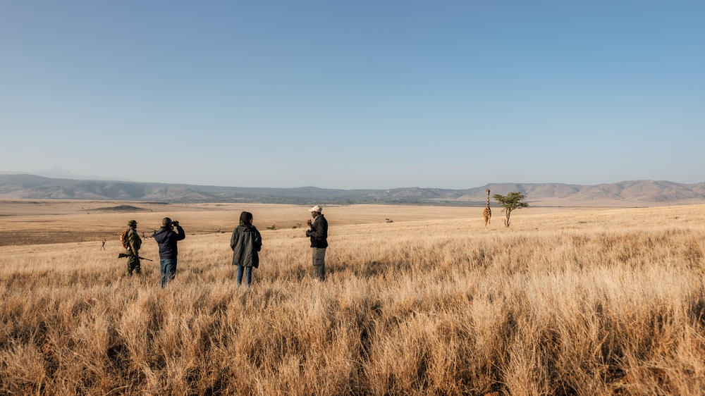 Elewana Lewa Safari Camp
