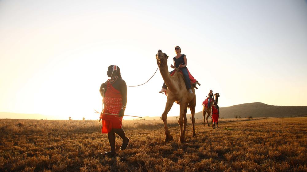 Elewana Lewa Safari Camp