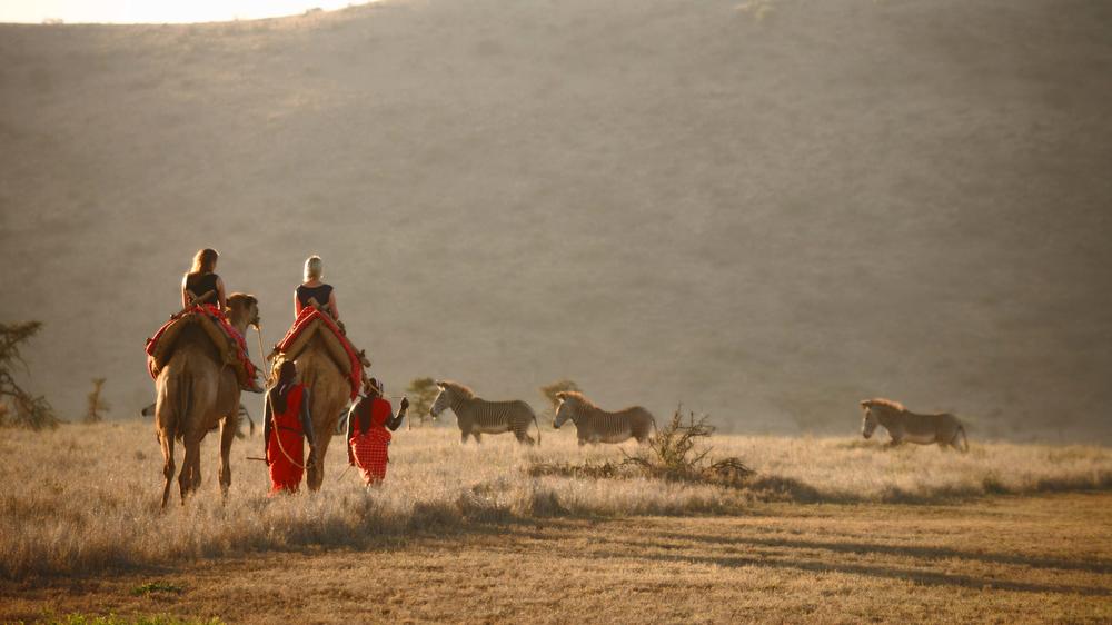 Elewana Lewa Safari Camp