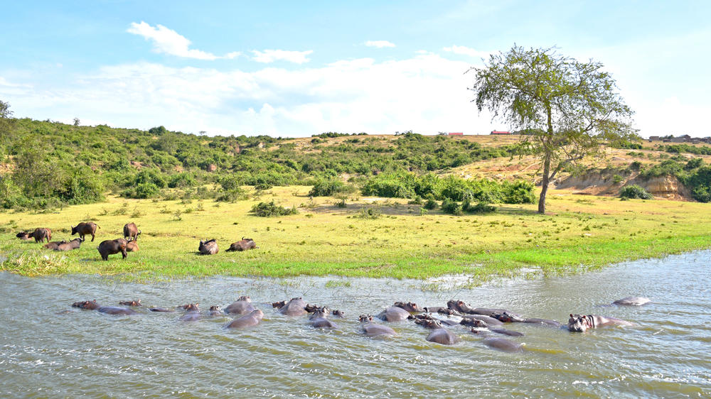 Northern Queen Elizabeth National Park
