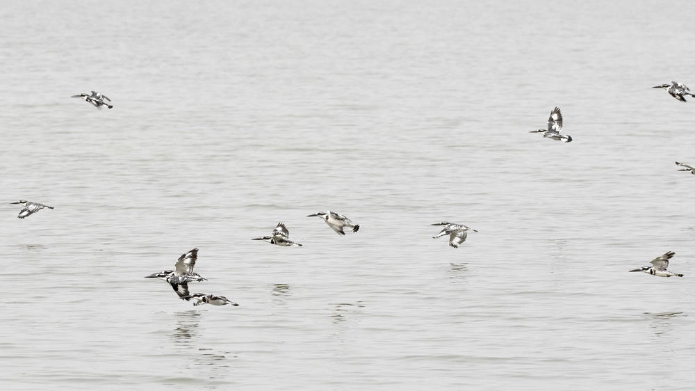 Northern Queen Elizabeth National Park