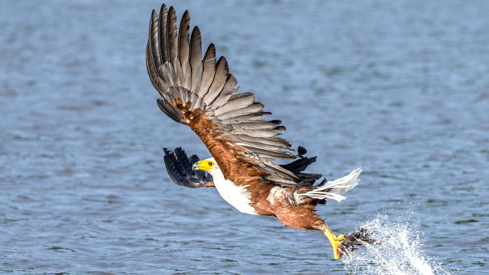 Northern Queen Elizabeth National Park