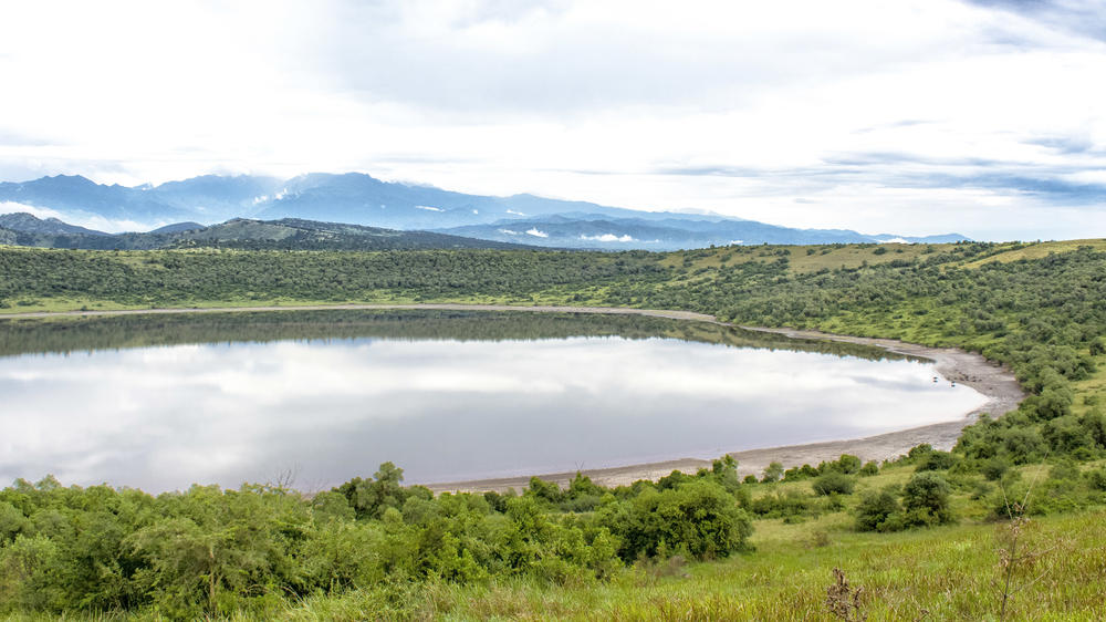 Southern Queen Elizabeth National Park
