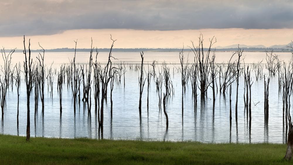 African Bush Camps Bumi Hills Safari Lodge