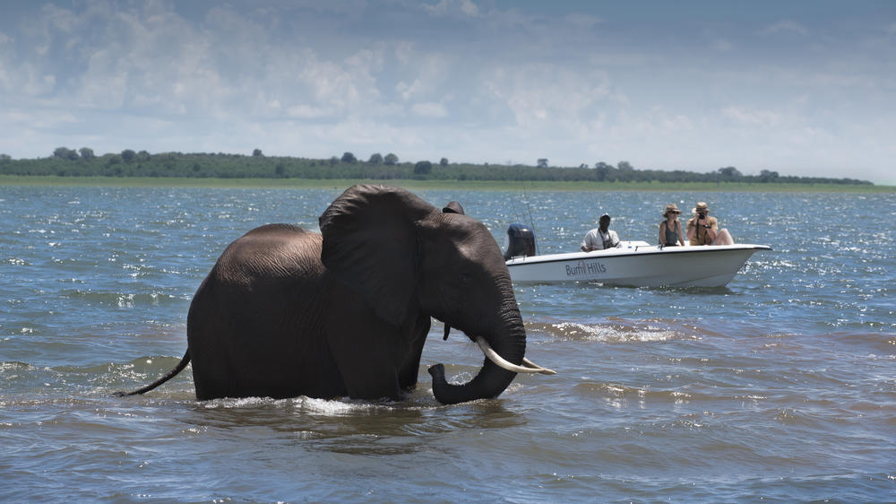 African Bush Camps Bumi Hills Safari Lodge