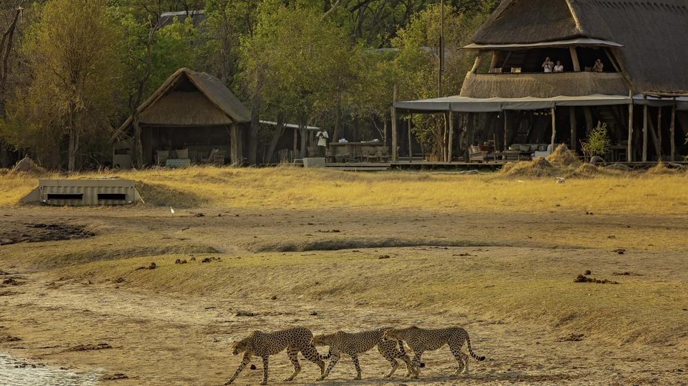 The Hide Safari Camp