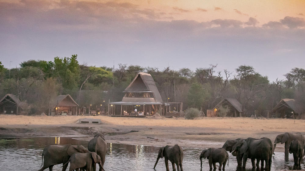 Zimbabwe - 7-day Hwange & Lake Kariba Safari - Private Fly-in