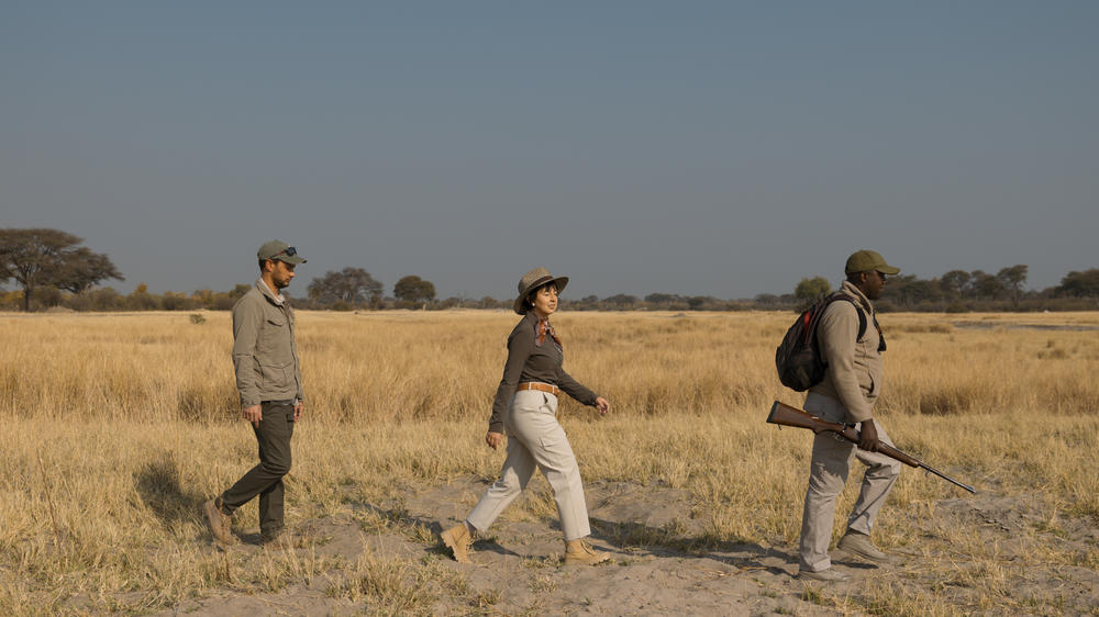 The Hide Safari Camp