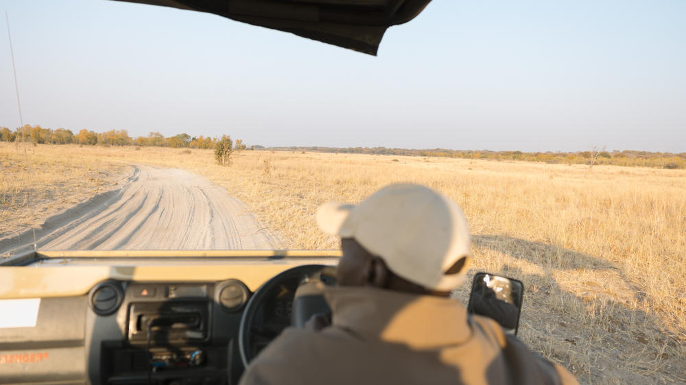 The Hide Safari Camp