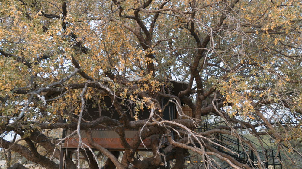 The Hide Safari Camp