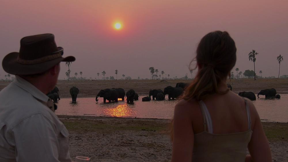 The Hide Safari Camp