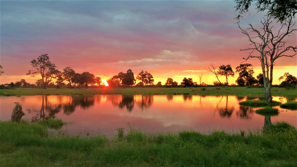 The Hide Safari Camp