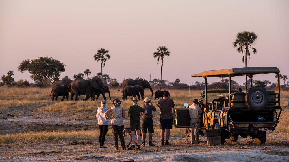 The Hide Safari Camp