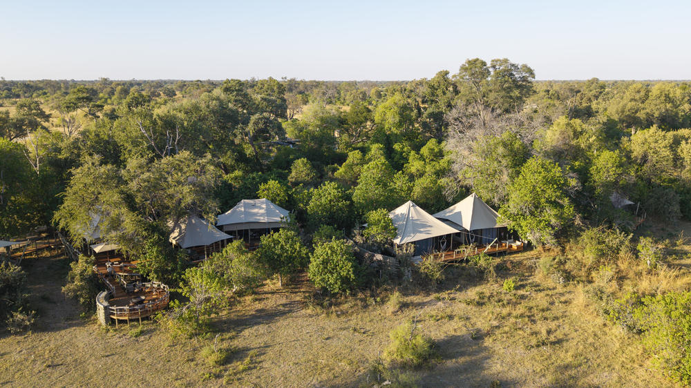 African Bush Camps Khwai Lediba