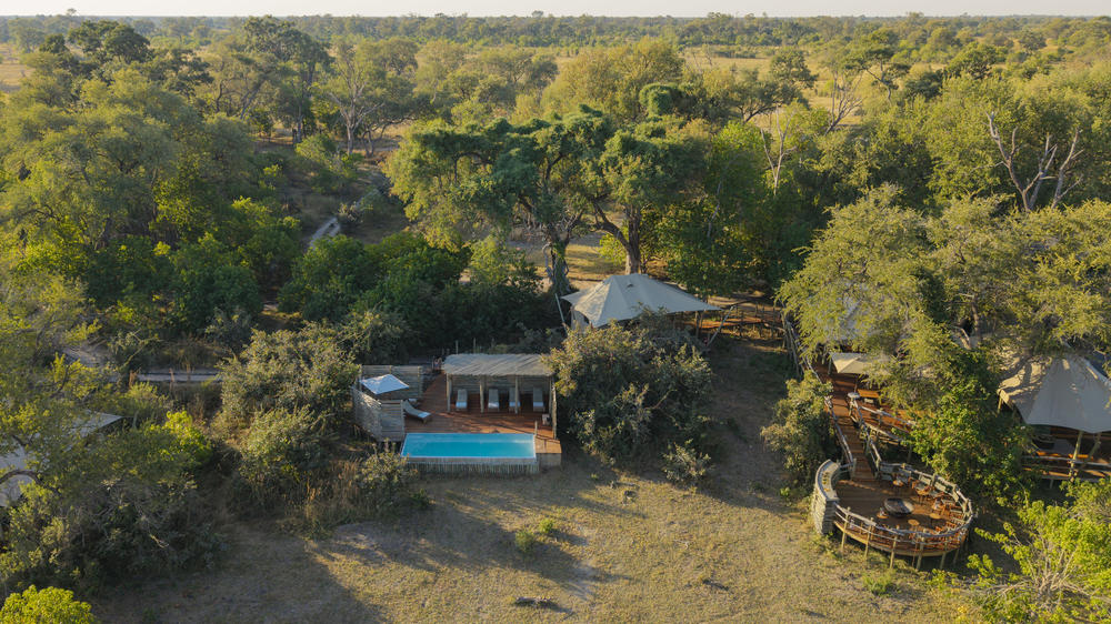 African Bush Camps Khwai Lediba