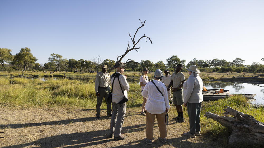 African Bush Camps Khwai Lediba