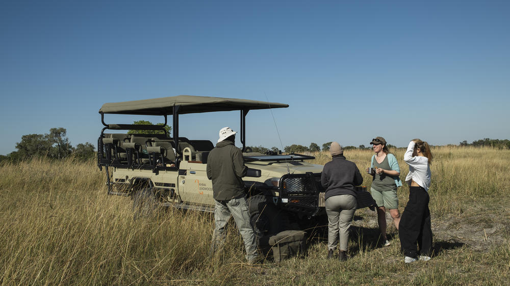 African Bush Camps Khwai Lediba