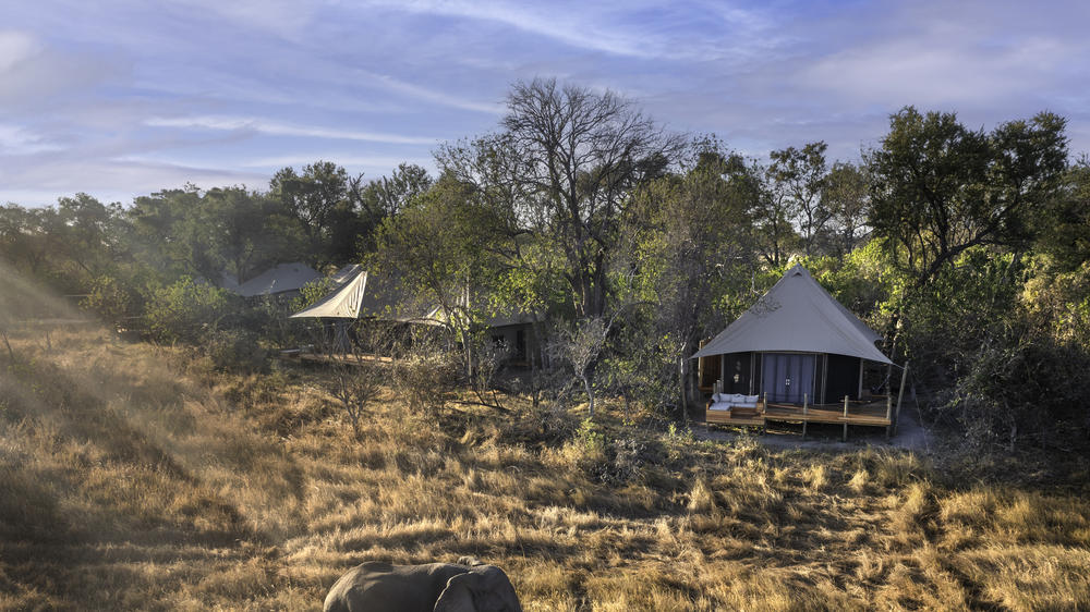 African Bush Camps Khwai Lediba
