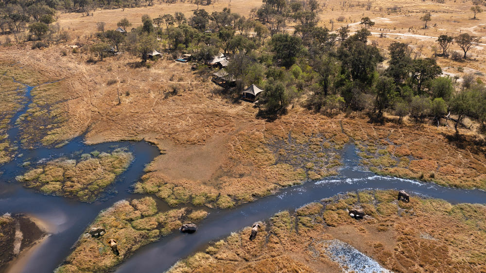 African Bush Camps Khwai Lediba