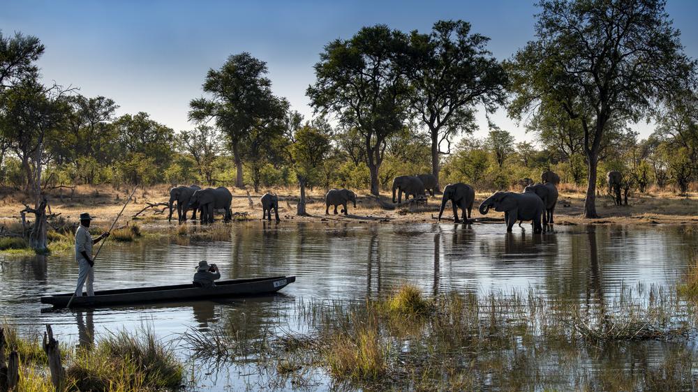 African Bush Camps Khwai Lediba