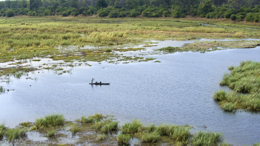 African Bush Camps Linyanti Bush Camp