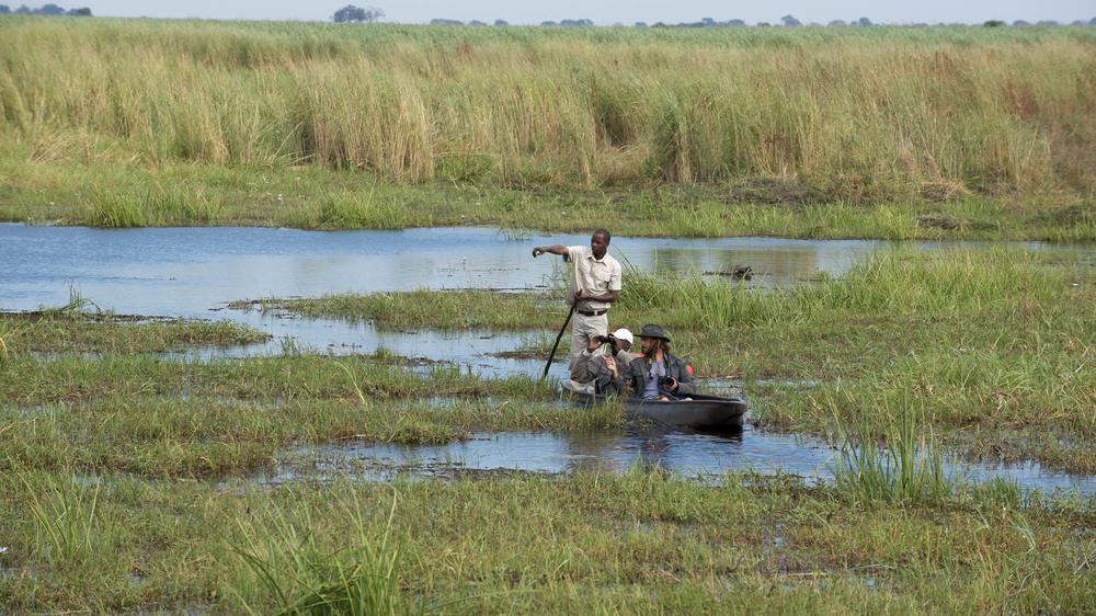 African Bush Camps Linyanti Bush Camp
