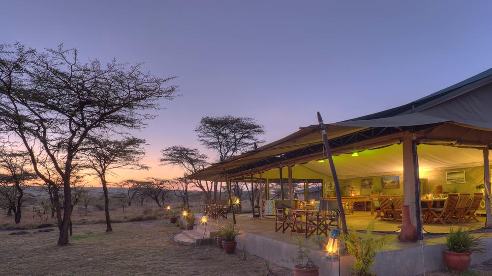 Kenya - 4-day Maasai Mara Safari with Kicheche Bush Olare - Private Fly-In