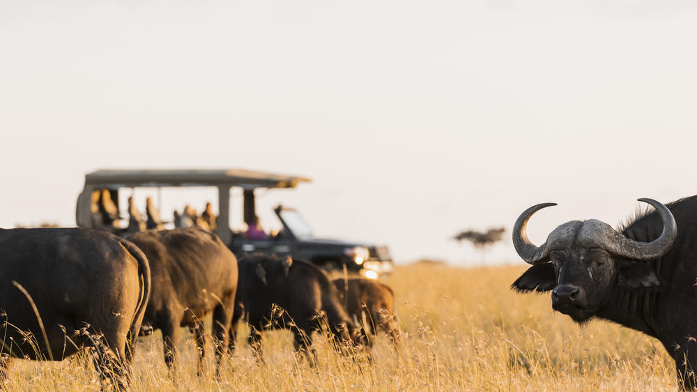 Ol Seki Hemingways Mara