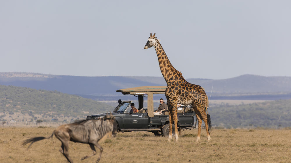 Ol Seki Hemingways Mara