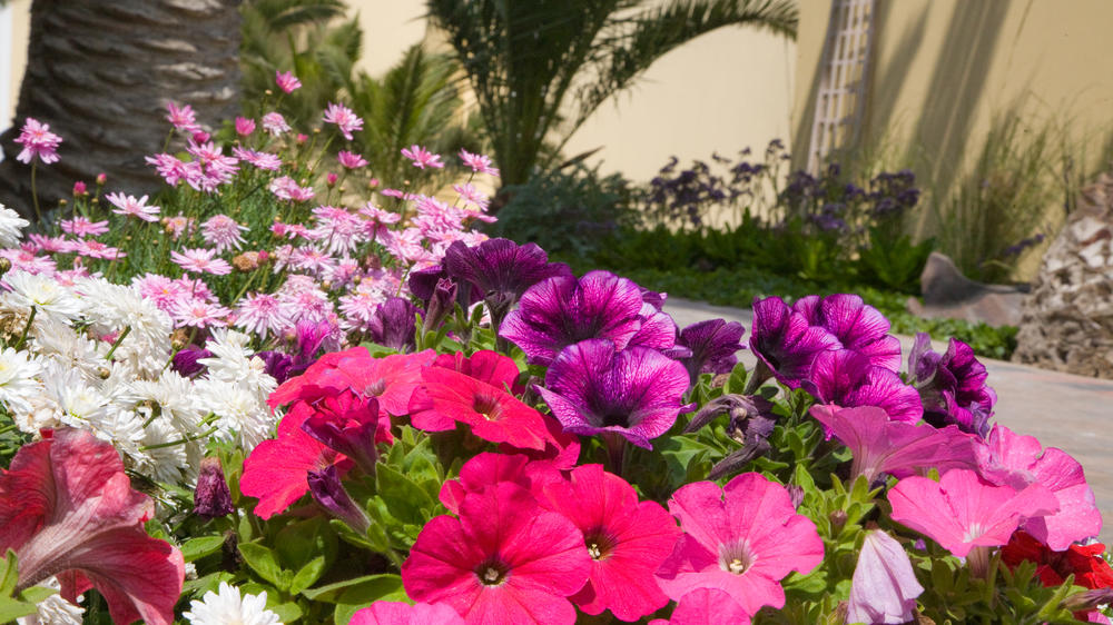 Cornerstone Guesthouse