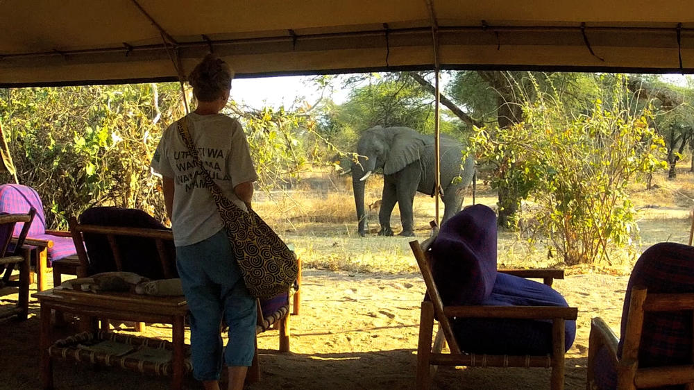 Mdonya Old River Camp