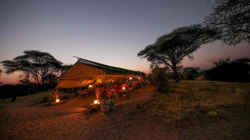 Mdonya Old River Camp