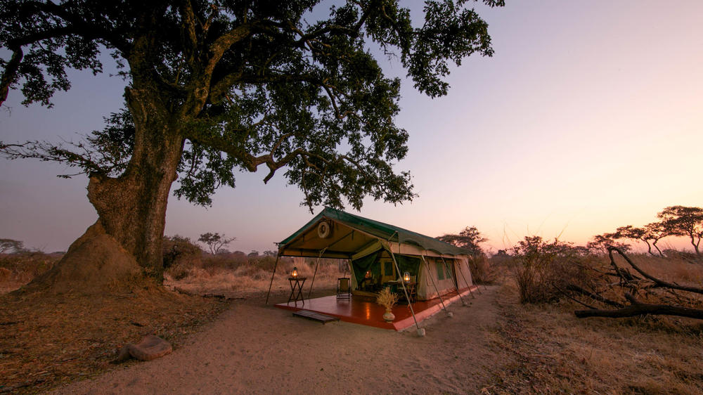 Mdonya Old River Camp