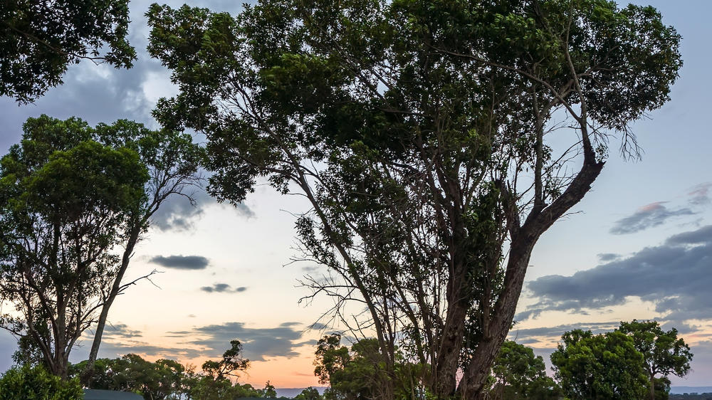 Lemala Ndutu Mobile Tented Camp